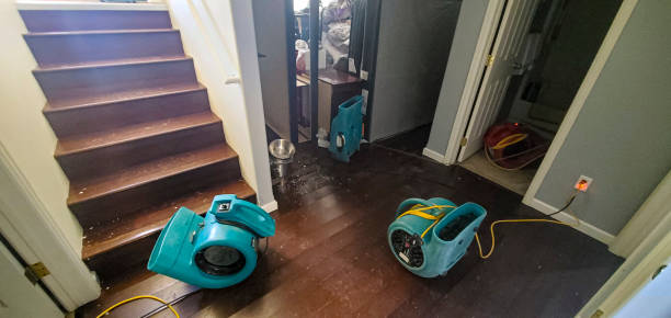 Best Water damage restoration near me  in Brundidge, AL