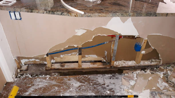 Best Professional water damage repair  in Brundidge, AL