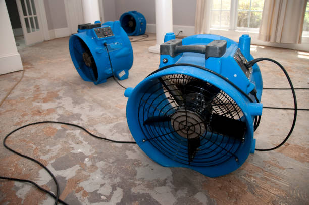  Brundidge, AL Water damage restoration Pros